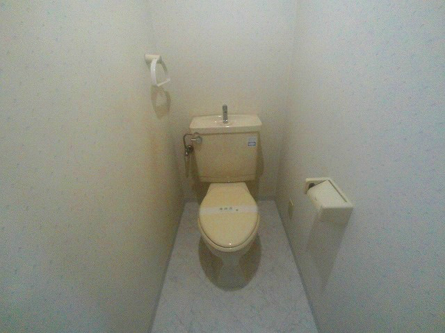 アングラーダムのトイレ