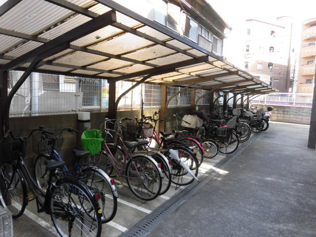 ワイズフィールド