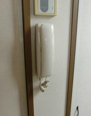 モナ氷川のセキュリティ