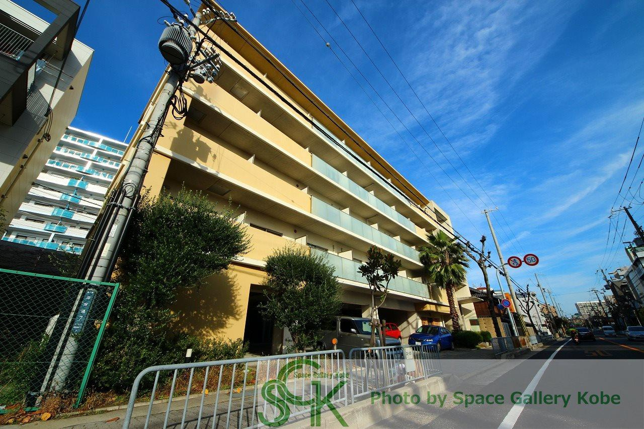 アロハ海岸通の外観