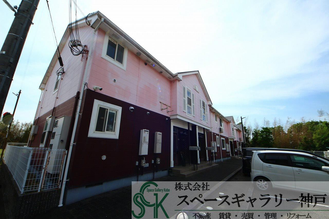 オリーブ1