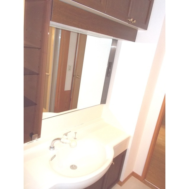 岐阜市田生越町の賃貸マンションの洗面所|洗髪洗面化粧台
