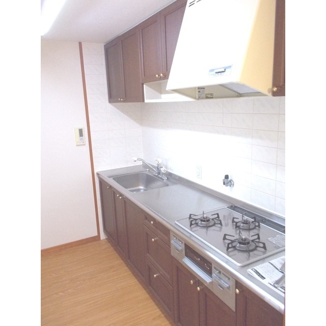 岐阜市田生越町の賃貸マンションのキッチン|システムキッチン