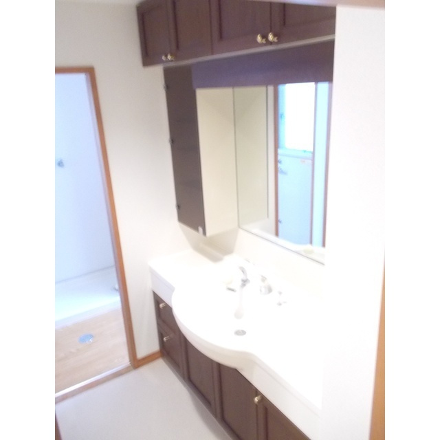 岐阜市田生越町の賃貸マンションの洗面所|洗髪洗面化粧台