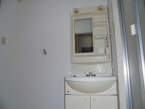 イーストカーサの洗面所
