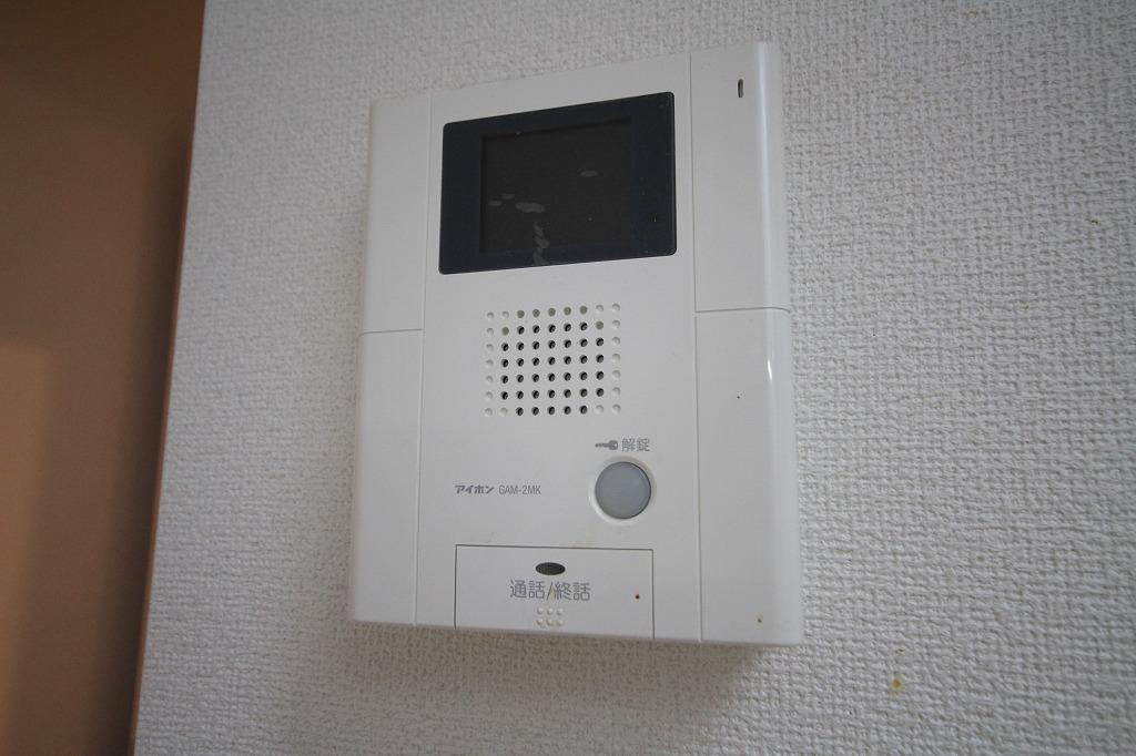 ヴァーンフリートのセキュリティ