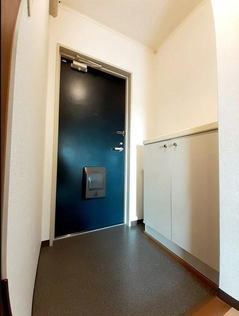 エグゼカーサの玄関|※お部屋により仕様が異なる場合があります