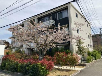 【外観】 | ベレオ南島田