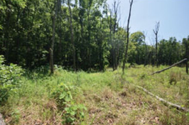 【外観】 | 伊東市荻　売地