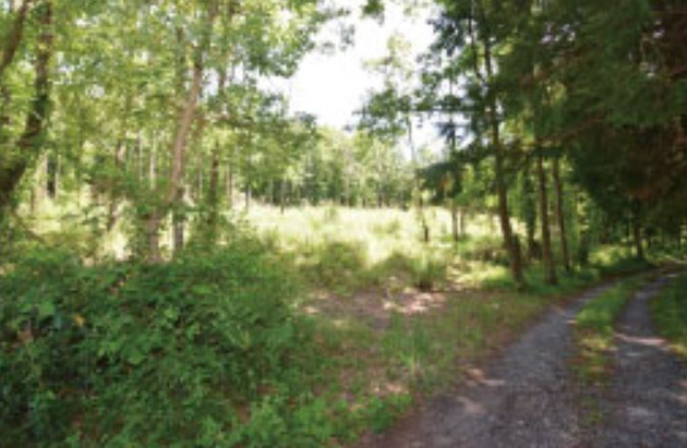 【周辺】 | 伊東市荻　売地