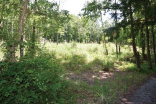 【周辺】 | 伊東市荻　売地