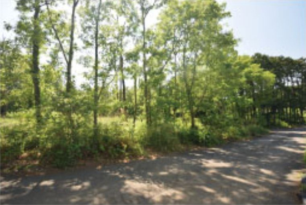 【周辺】 | 伊東市荻　売地