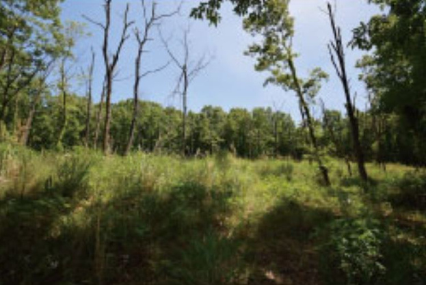 【外観】 | 伊東市荻　売地