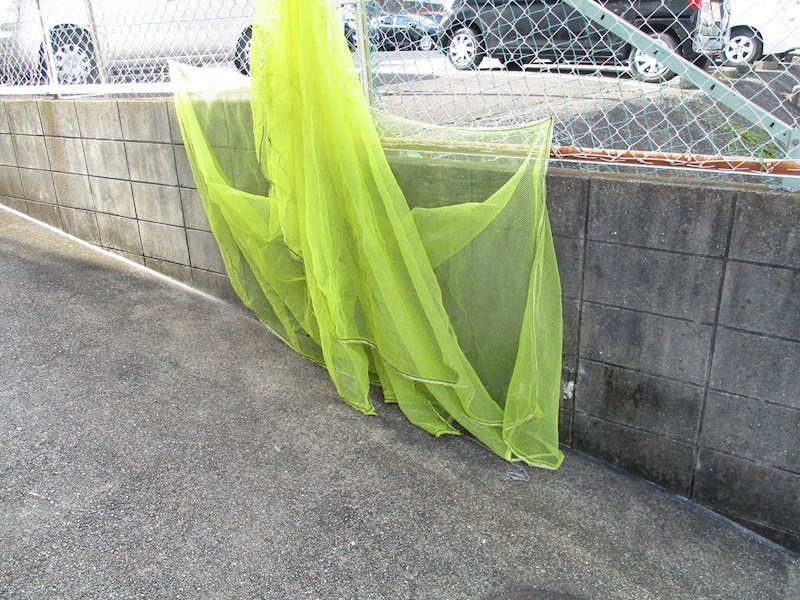 アーバン京命Ⅱの外観