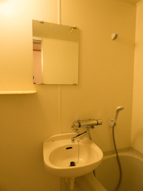 メゾン鵠沼石上の洗面所