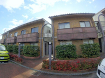 ロイヤルオークの画像