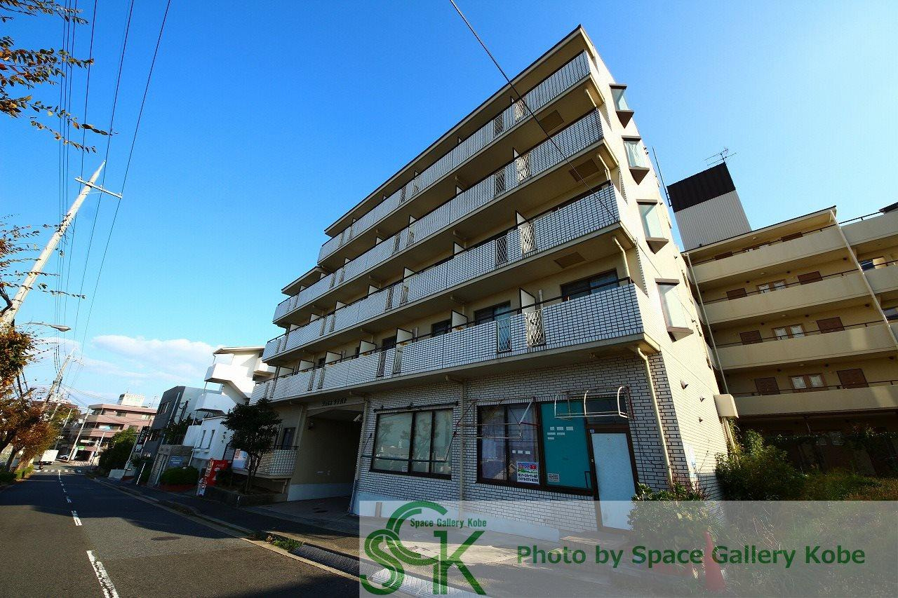 ジュネスタチバナ