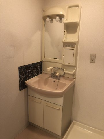 ベルカルムSの洗面所