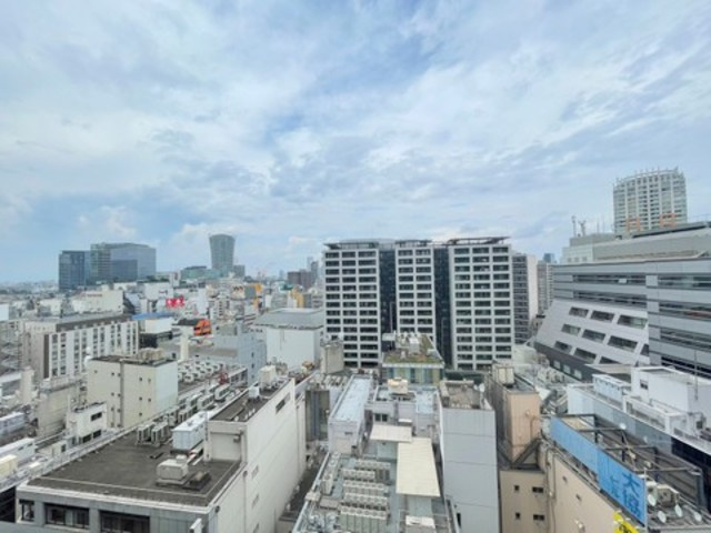 宮益坂ビルディング・ザ・渋谷レジデンスの展望|★バルコニーからの景色です★