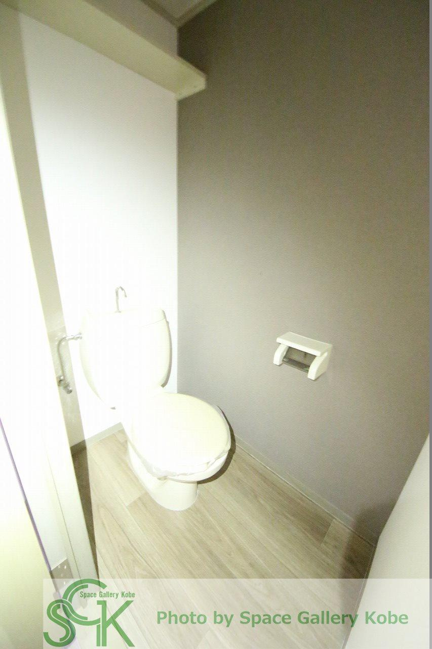 ハイツOSⅠのトイレ