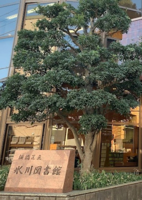 【周辺】 | クレイシア大山　※1月中旬退去 | 板橋区立氷川図書館まで261ｍ