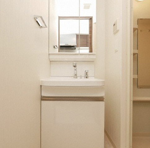 エステムコート難波サウスプレイスⅧハイドの洗面所