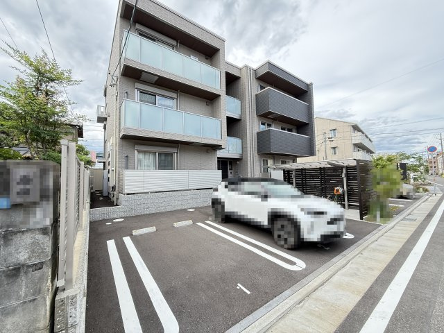 ベレオ クレマティス
