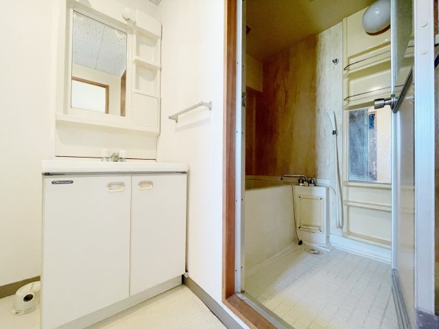 MAC郡山コートⅠ　の独立洗面台