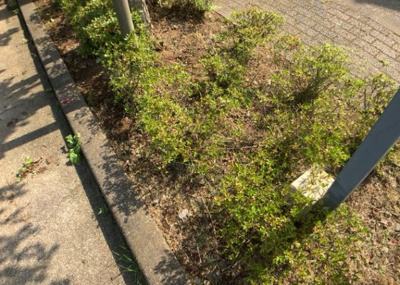 【中庭】 | エステ・ヴィラ森の里　1号棟 | 中庭（パティオ）とは、一つの建築物の内部に設けられた、壁などで囲われている庭のことを指します。コの字型、ロの字型が主流ですが、L字型の中庭もあります。最近では、インテリア性の高さからも人気があります。