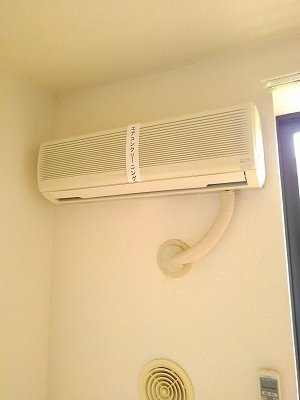 プリオール実丸Ａのその他