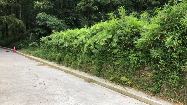 丹波市柏原町挙田の売地の前面道路含む現地写真