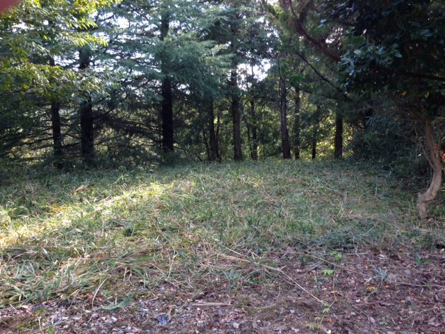 山南町玉巻売地