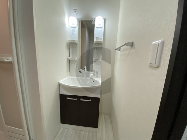 フジパレス弥刀2番館の独立洗面台