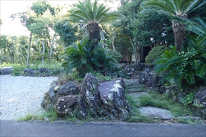 浮山温泉別荘地　戸建ての庭