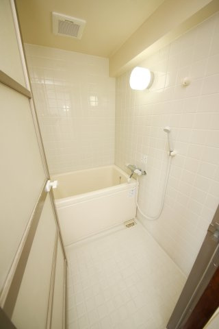 第8タツミビルの浴室