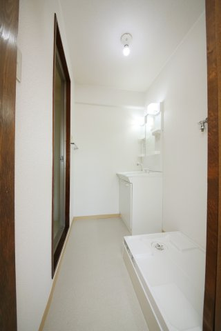 第8タツミビルの洗面所