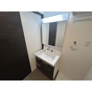 シエーナ枚方岡南の洗面所