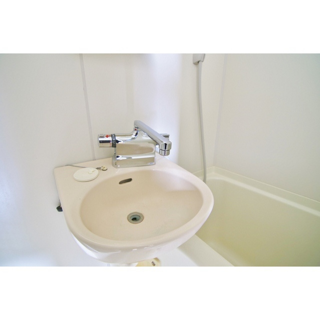 アーバンＳの洗面所