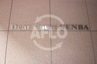 【その他共用部分】 | ディアコートセンバ | ディアコートセンバ　エンブレム