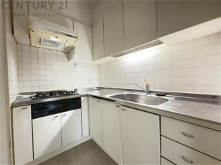 壁付けシステムキッチンはスペースの最大限の有効活用が可能で、動線がスムーズになり調理や準備が快適で効率的に行えます。収納スペースや吊り戸棚が設けられ、調理器具や食器類をスマートに収納できます。
