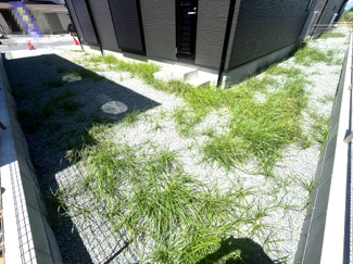 【庭】 | 大和高田市勝目 全3区画 2号地