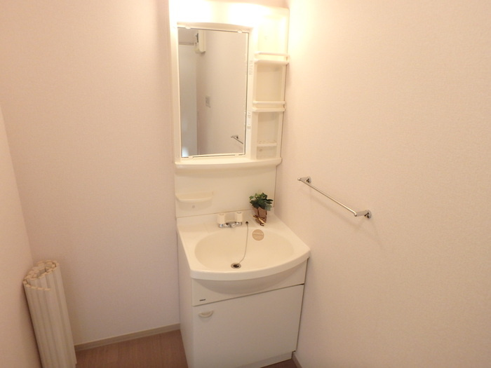 スカイハウス　Aの洗面所