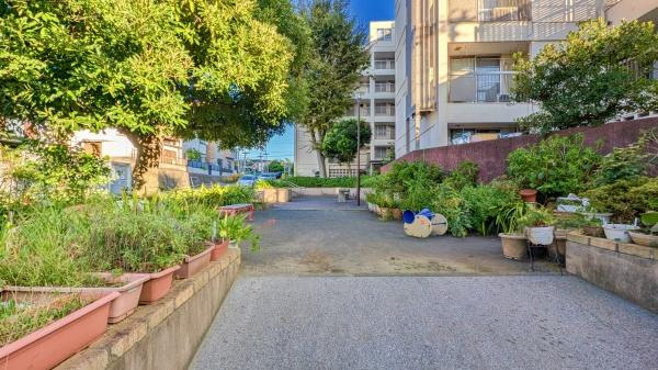 妙蓮寺コーポラスのその他共用部分|敷地内には公園もあります！
緑が多く、子育て環境良好です♪