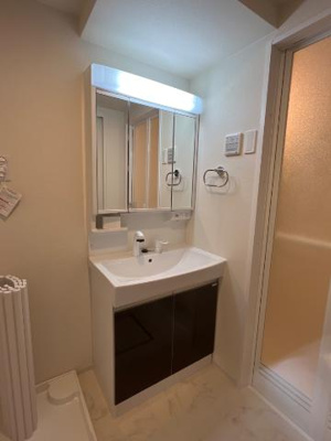 【洗面所】 | 君津市北子安５丁目新築アパート | 洗髪洗面化粧台（イメージ）