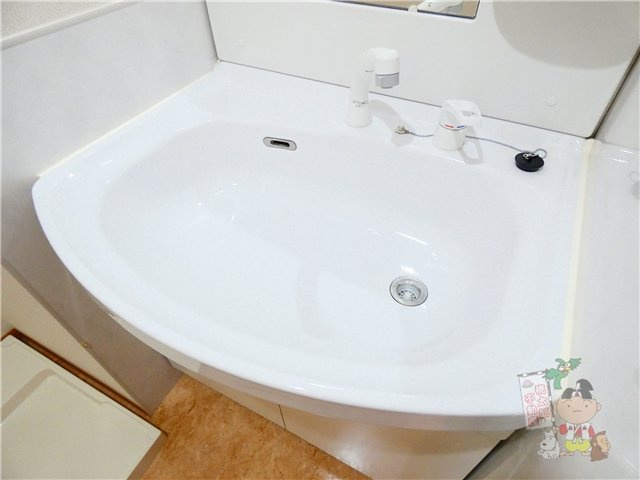 ピアホーム奥田の洗面所