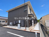ステラの画像