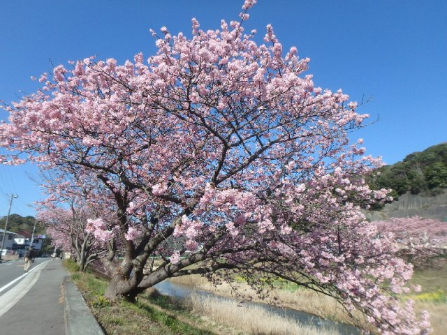 M0240M　理光ヘルスケアマンションのその他