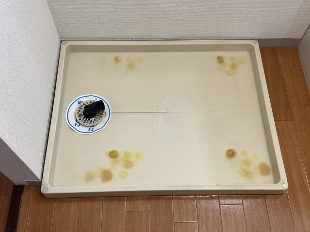 プレステージ21　B棟のその他
