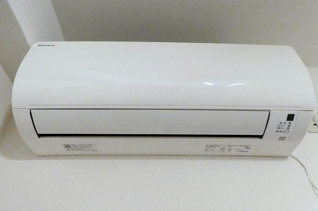 トランプ並木の設備