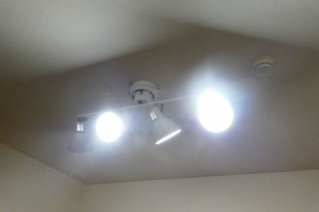 トランプ並木の設備